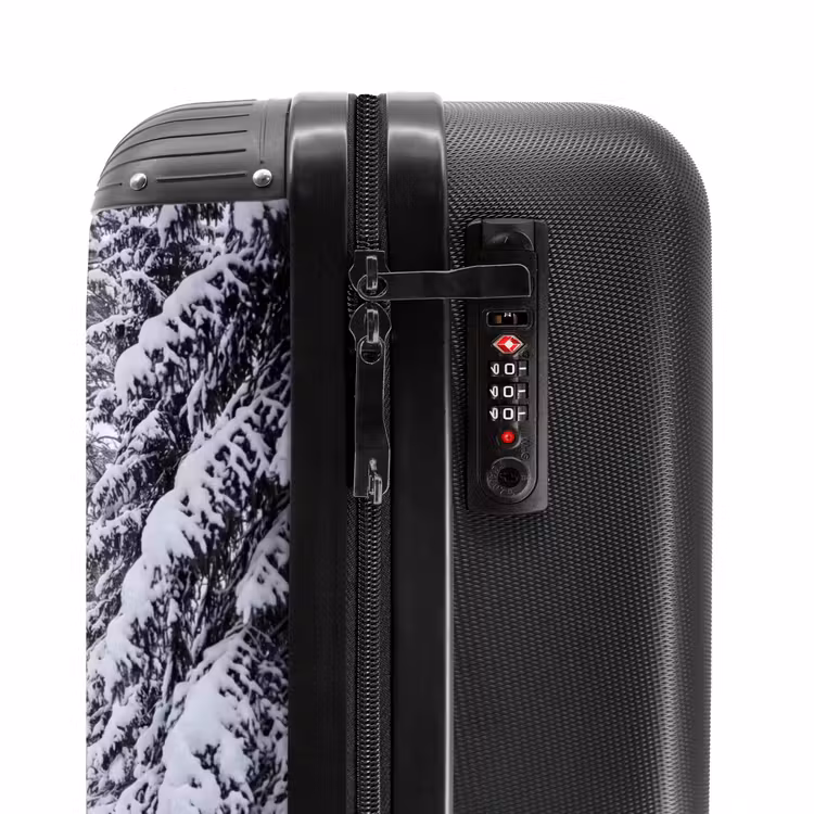 Suitcase - Forest - Winter - Snow - Path - Nature — 6
