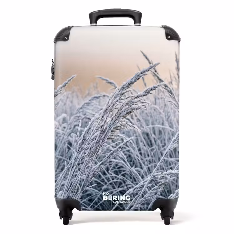 Suitcase - Frost - Grass - Crystals - Winter - Minimalist — 1