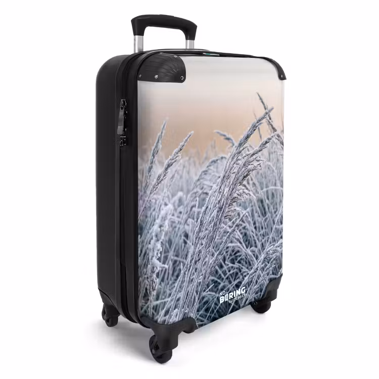 Suitcase - Frost - Grass - Crystals - Winter - Minimalist — 2