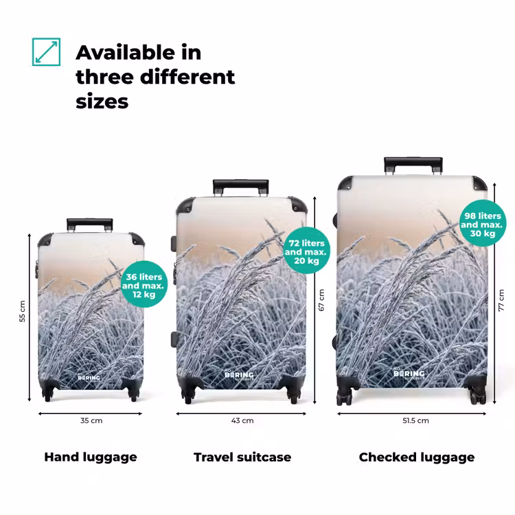 Suitcase - Frost - Grass - Crystals - Winter - Minimalist — 3