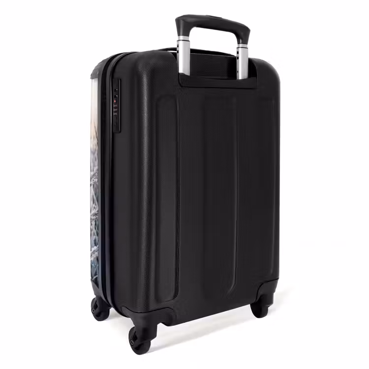 Suitcase - Frost - Grass - Crystals - Winter - Minimalist — 4