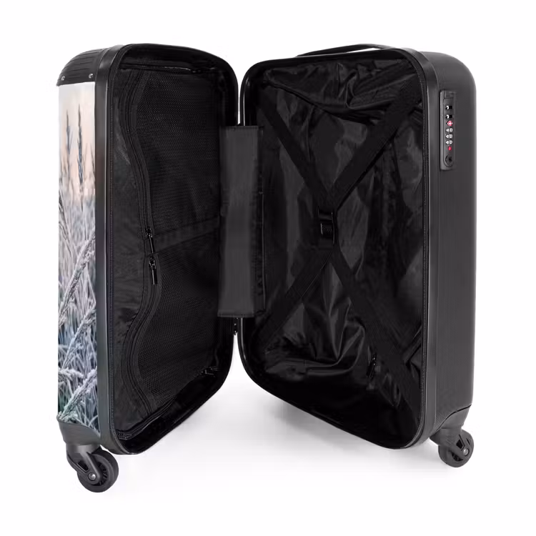 Suitcase - Frost - Grass - Crystals - Winter - Minimalist — 5