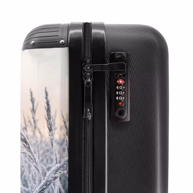 Suitcase - Frost - Grass - Crystals - Winter - Minimalist — 6
