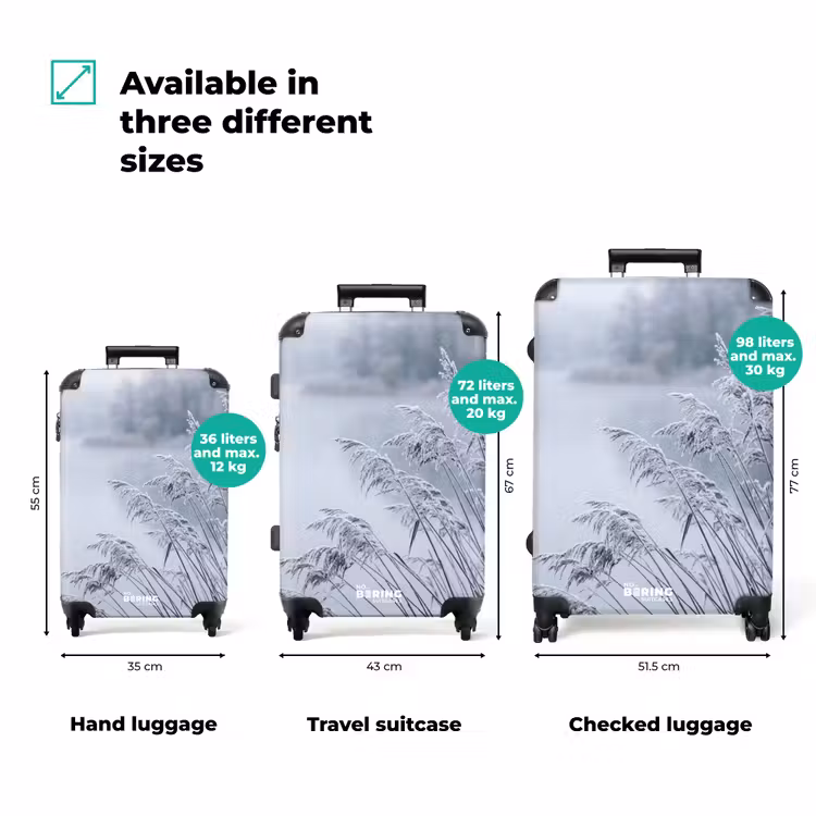 Suitcase - Reeds - Frozen - Winter - Nature — 3