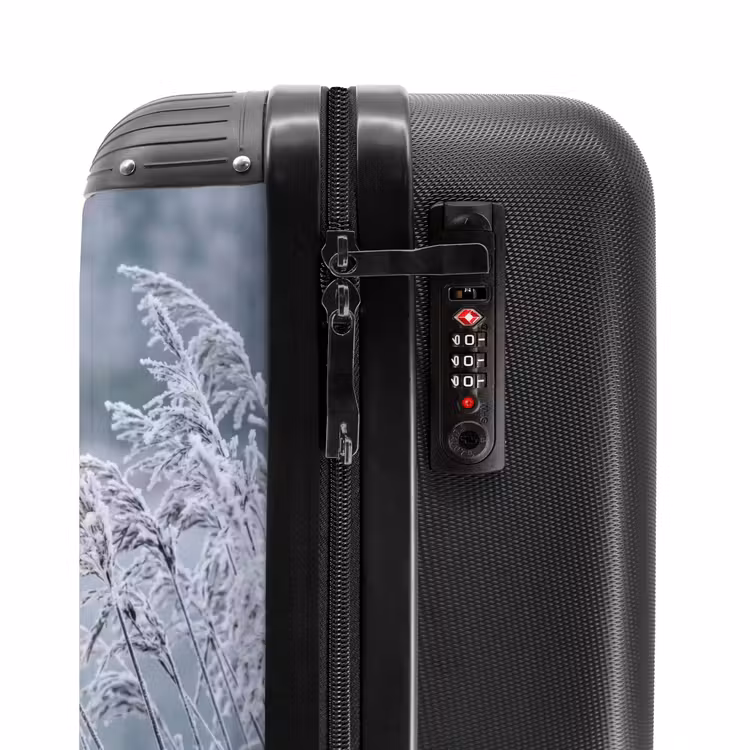 Suitcase - Reeds - Frozen - Winter - Nature — 6