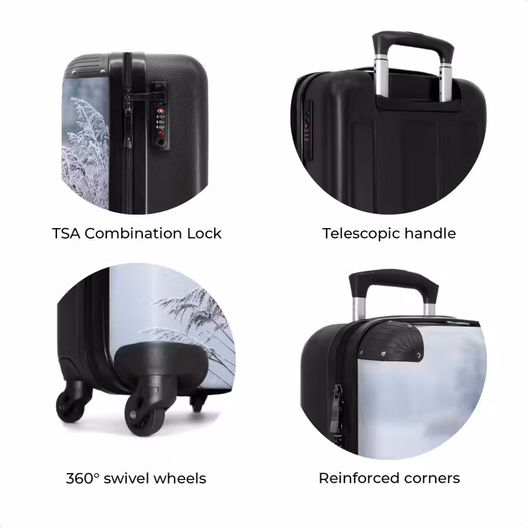 Suitcase - Reeds - Frozen - Winter - Nature — 8
