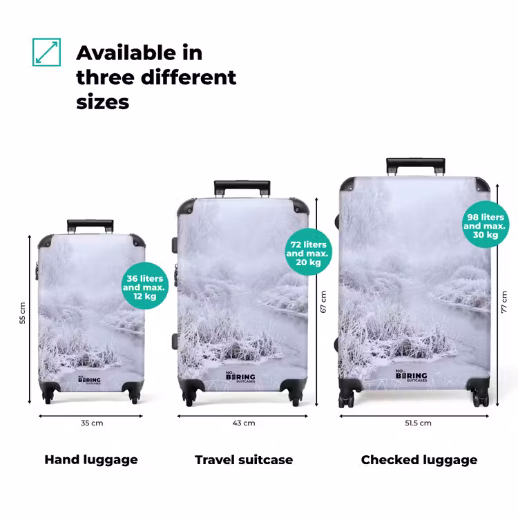 Suitcase - River - Snow - Forest - Winter - Picturesque — 3