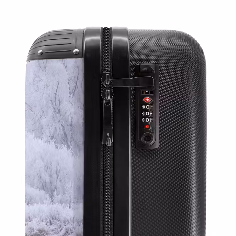 Suitcase - River - Snow - Forest - Winter - Picturesque — 6