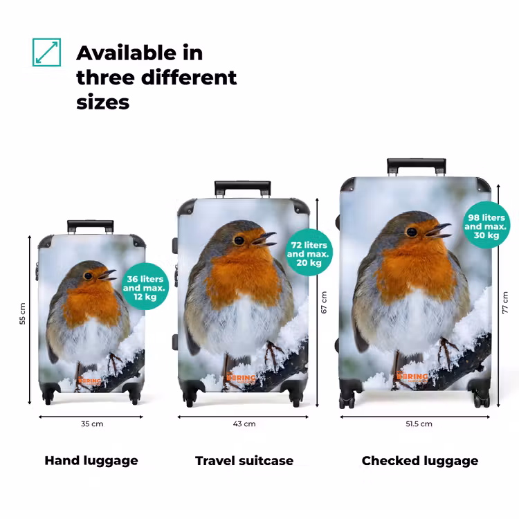 Suitcase - Robin - Branch - Snow - Winter - Lively — 3