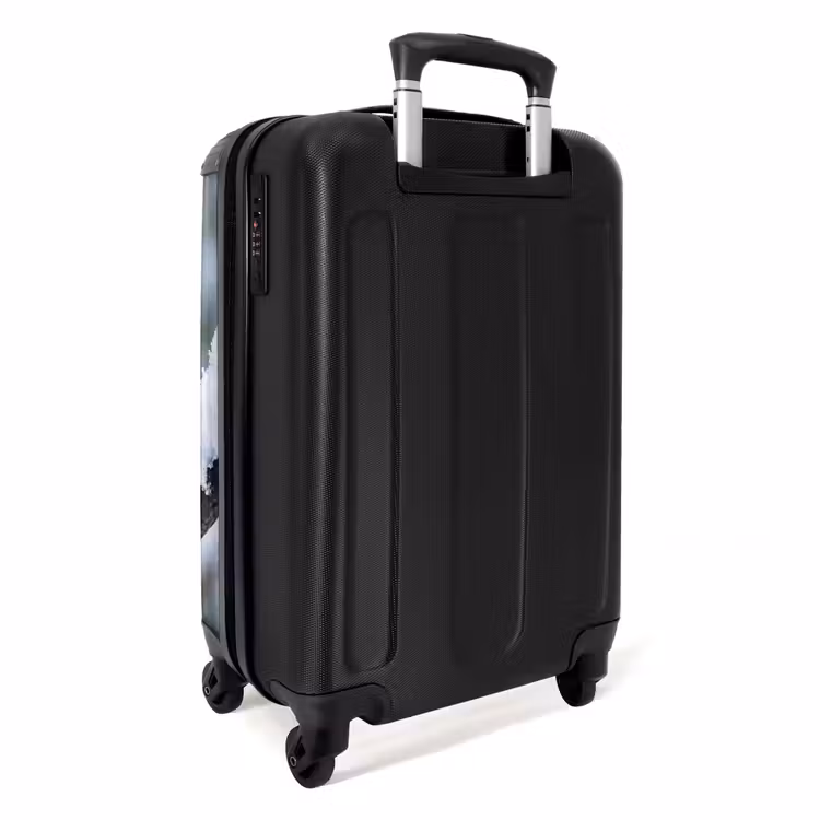 Suitcase - Robin - Branch - Snow - Winter - Lively — 4