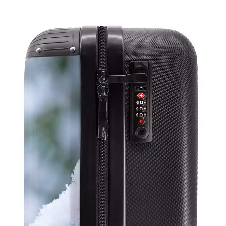 Suitcase - Robin - Branch - Snow - Winter - Lively — 6