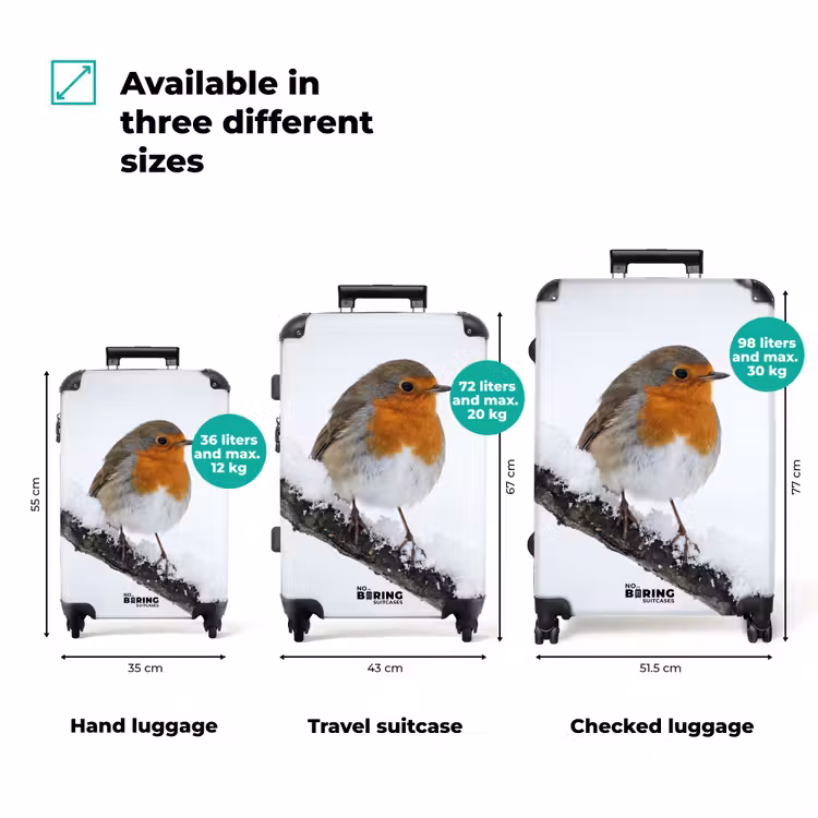 Suitcase - Robin - Branch - Snow - Winter - Lively — 3