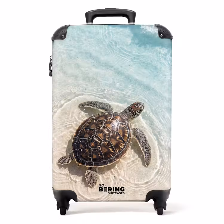 Suitcase - Turtle - Clear water - Beach - Animals - Nature — 1