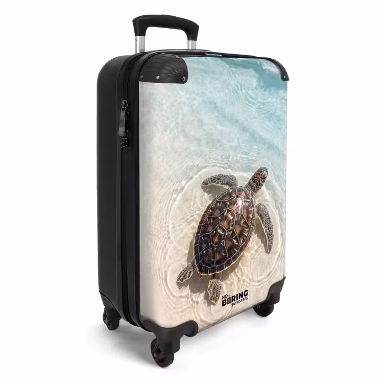Suitcase - Turtle - Clear water - Beach - Animals - Nature — 2