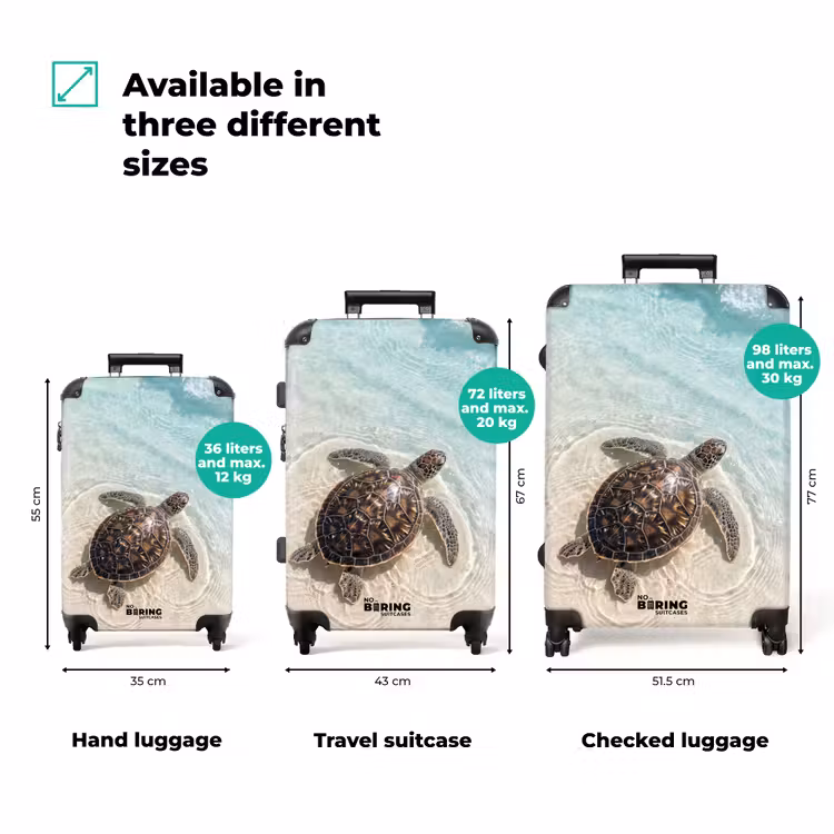 Suitcase - Turtle - Clear water - Beach - Animals - Nature — 3