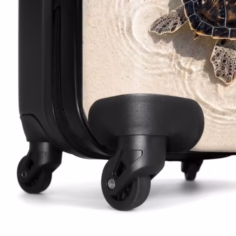Suitcase - Turtle - Clear water - Beach - Animals - Nature — 7
