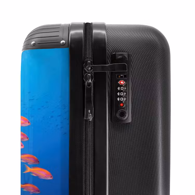 Suitcase - Underwater - Coral Reef - Fish - Ocean - Nature — 6