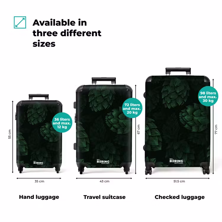Suitcase - upload-6a7060c5f24ac-284-gigapixel-standard-v2-15x — 3