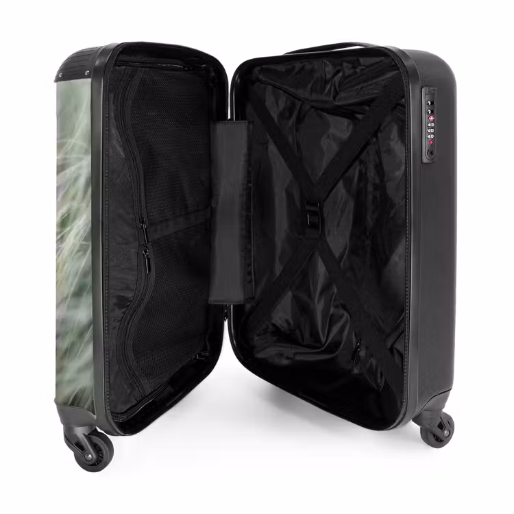 Suitcase - Grass - Blurry - Nature - Green - Soft — 5