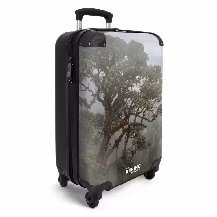 Suitcase - Tree - Foggy - Forest - Green - Nature — 2