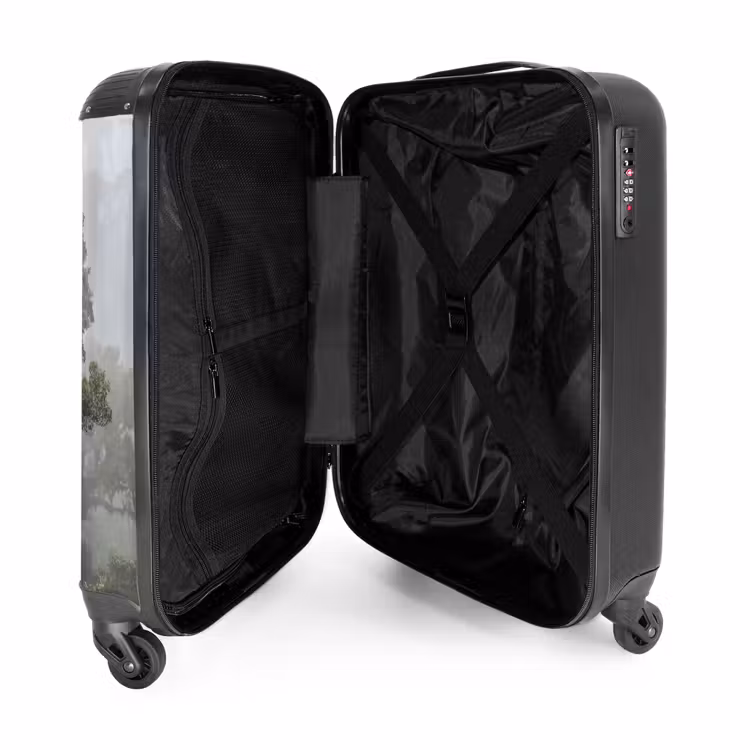 Suitcase - Tree - Foggy - Forest - Green - Nature — 5