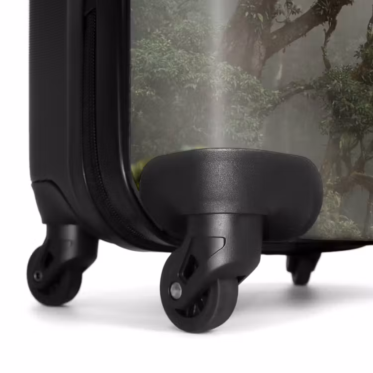 Suitcase - Tree - Foggy - Forest - Green - Nature — 7