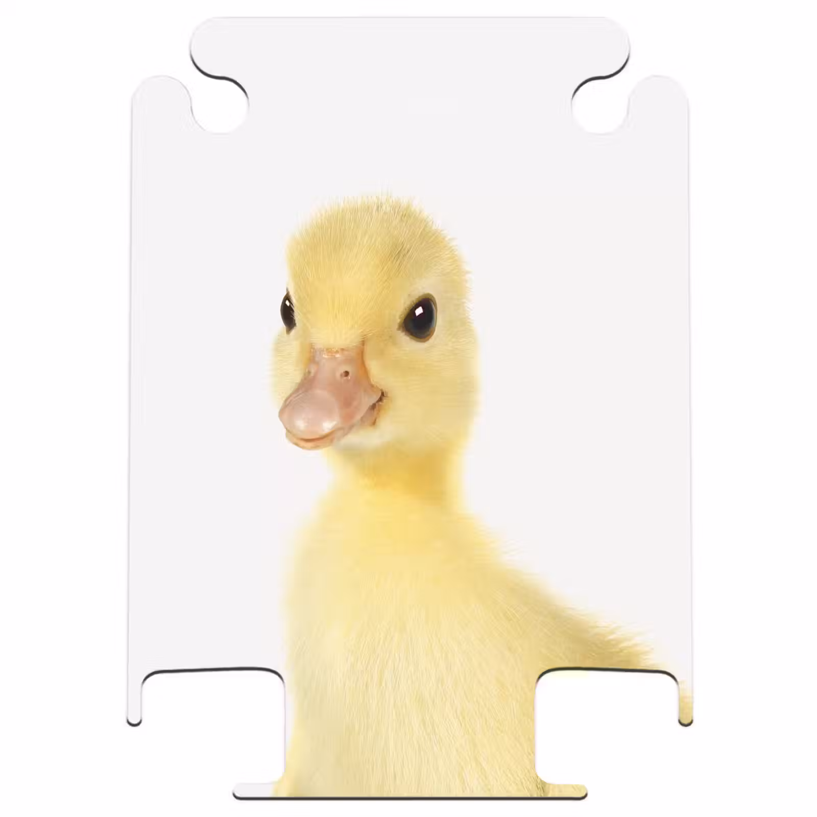 CaseSwap™ - Barry the Rubber Duck — 1