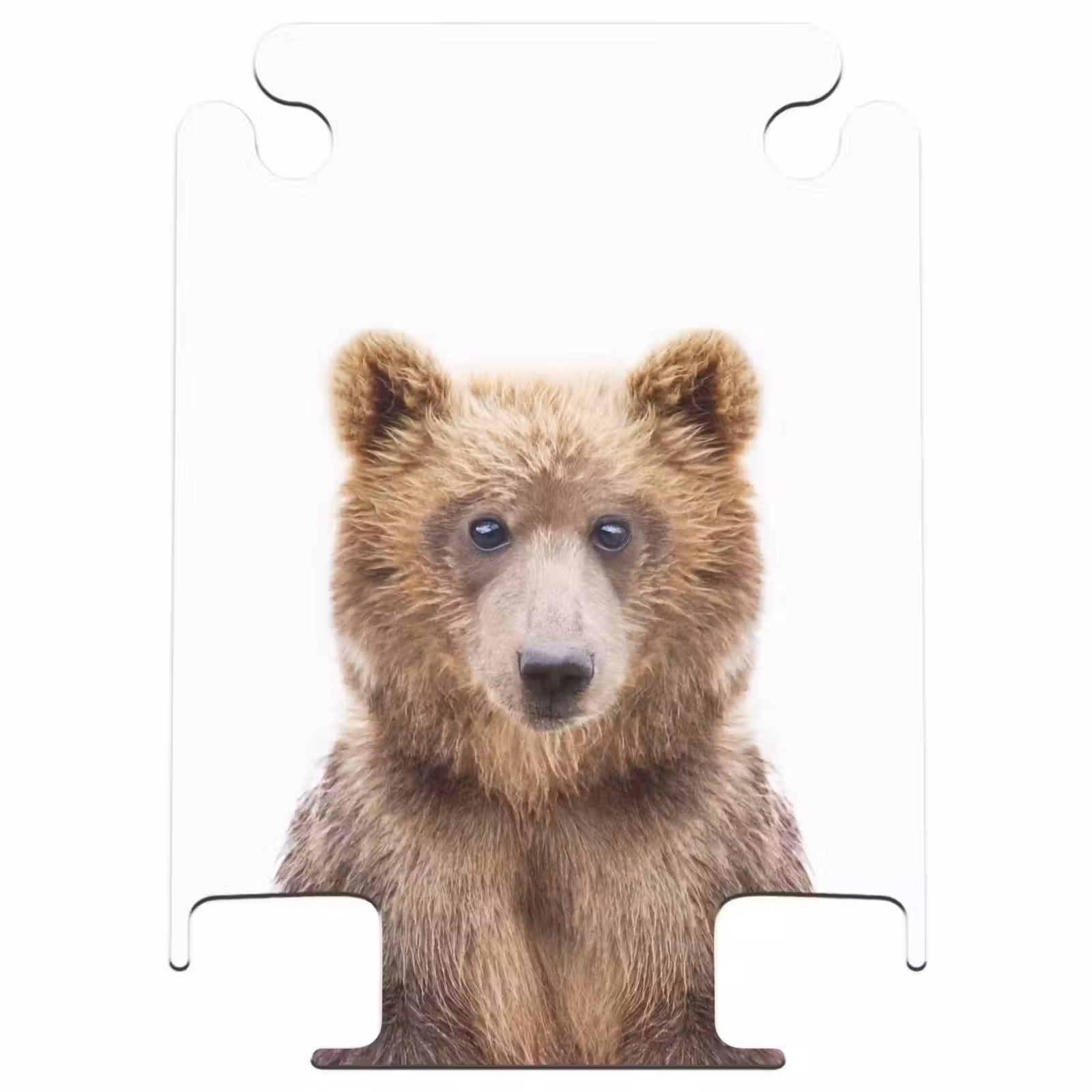 CaseSwap™ - Bennie Bear — 1