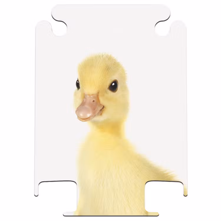 CaseSwap™ - Barry the Rubber Duck — 1