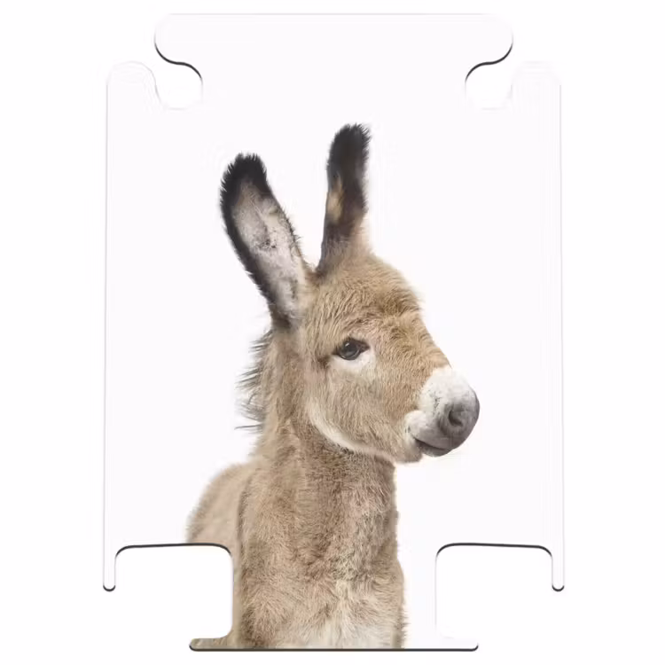 CaseSwap - Eddy Donkey — 1