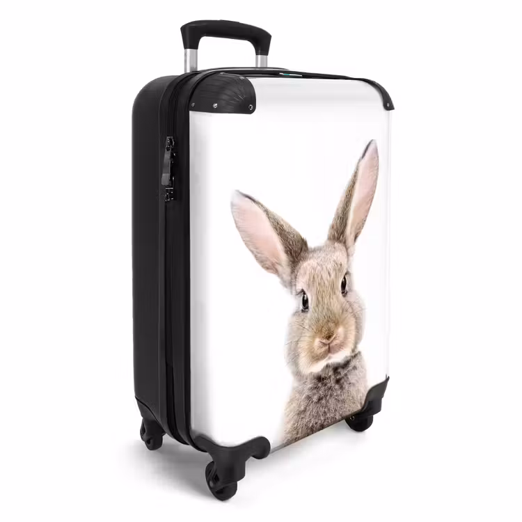 CaseSwap - Koen Rabbit — 2