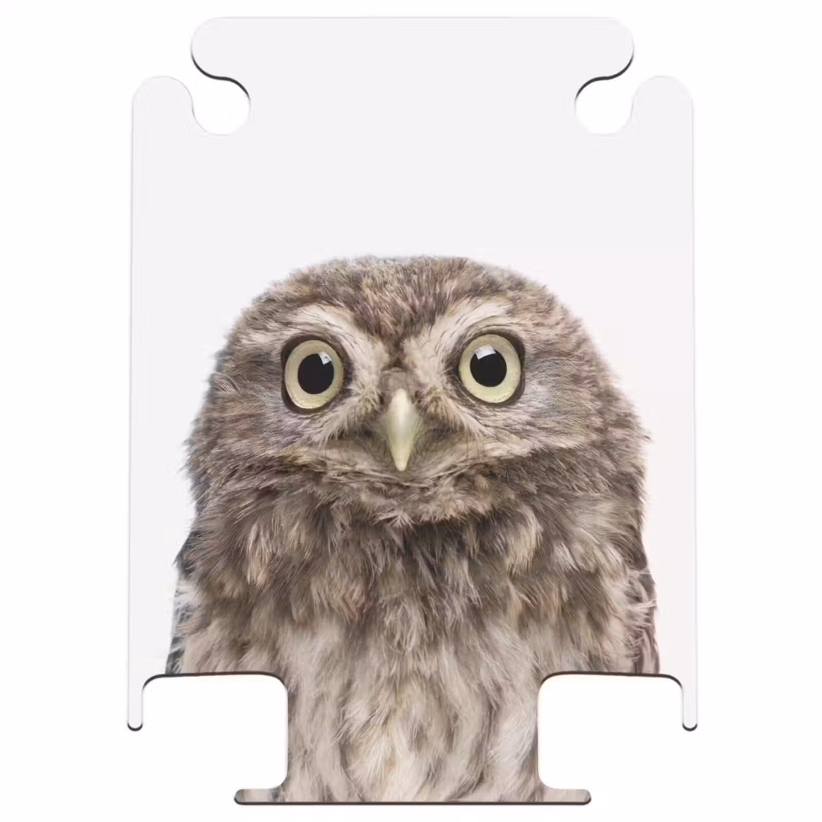 CaseSwap™ - Ulke Owl — 1