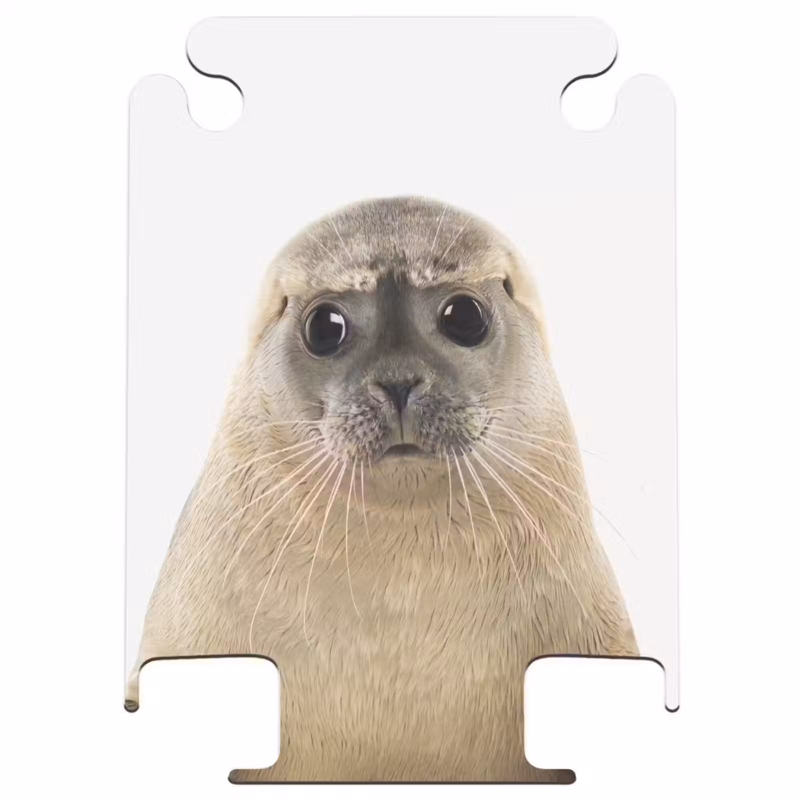 CaseSwap - Zyon Seal — 1