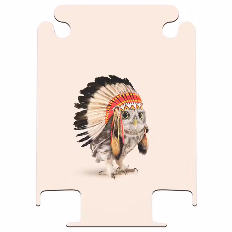 CaseSwap™ - Owl as Indian — 1