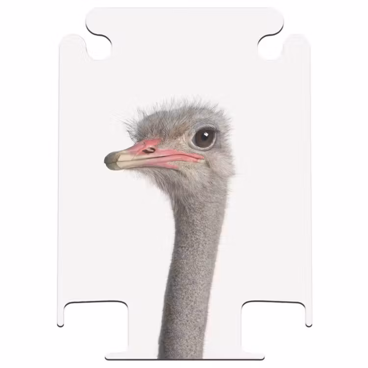 CaseSwap™ - Siebrina Ostrich — 1