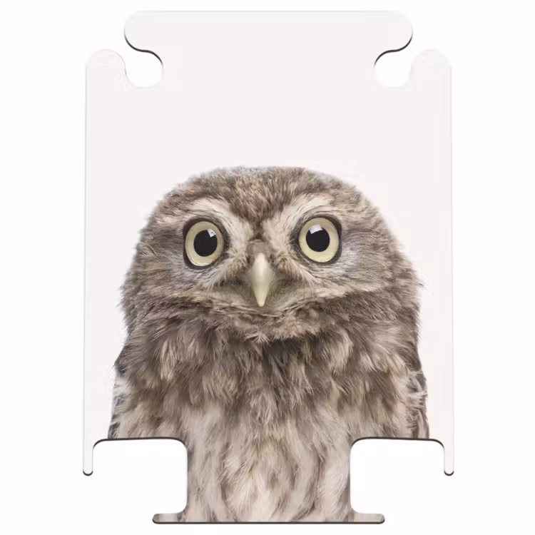CaseSwap™ - Ulke Owl — 1