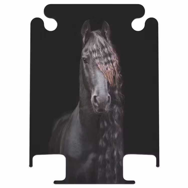 CaseSwap™ - Friesian stallion — 1