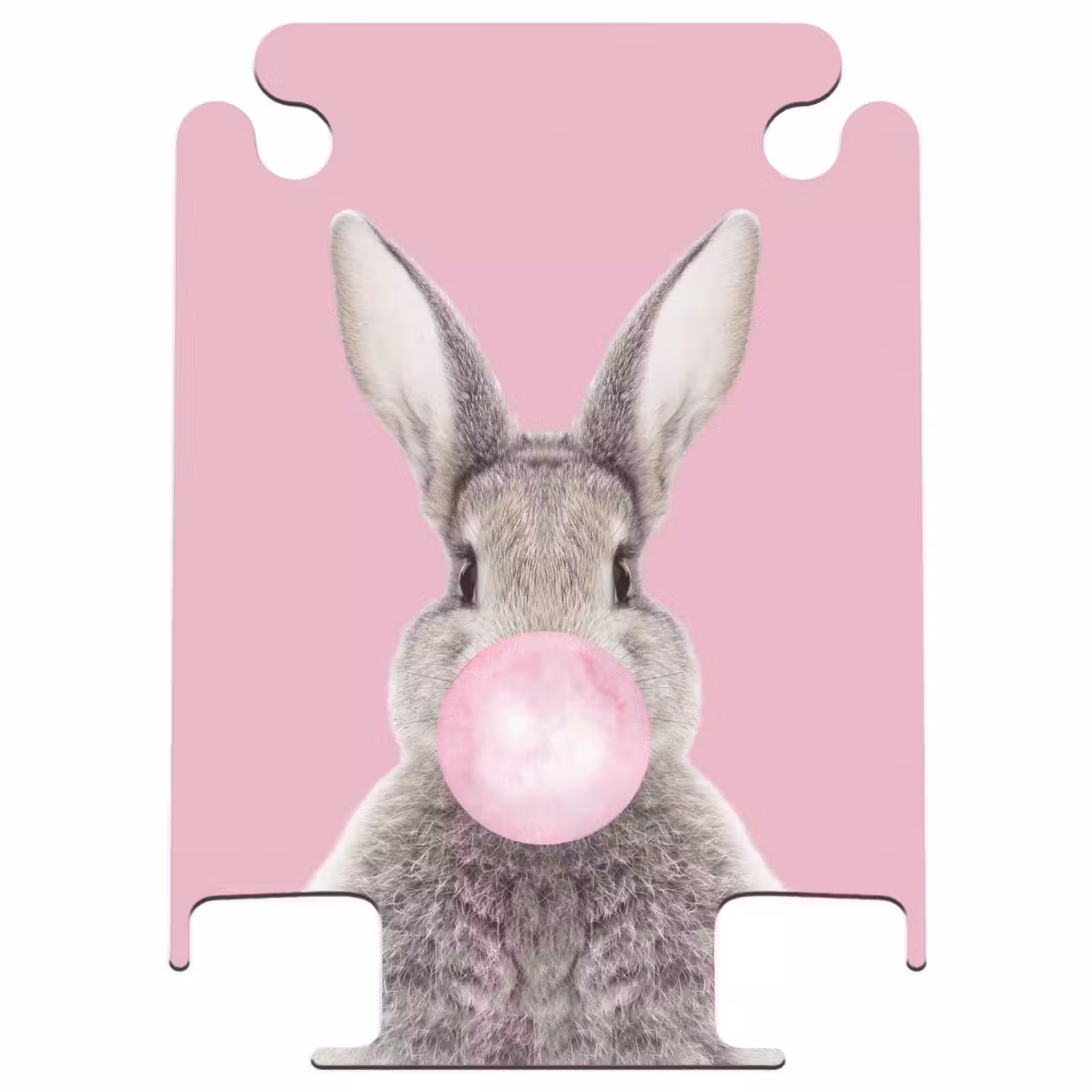 CaseSwap™ - Chewing gnaw — 1