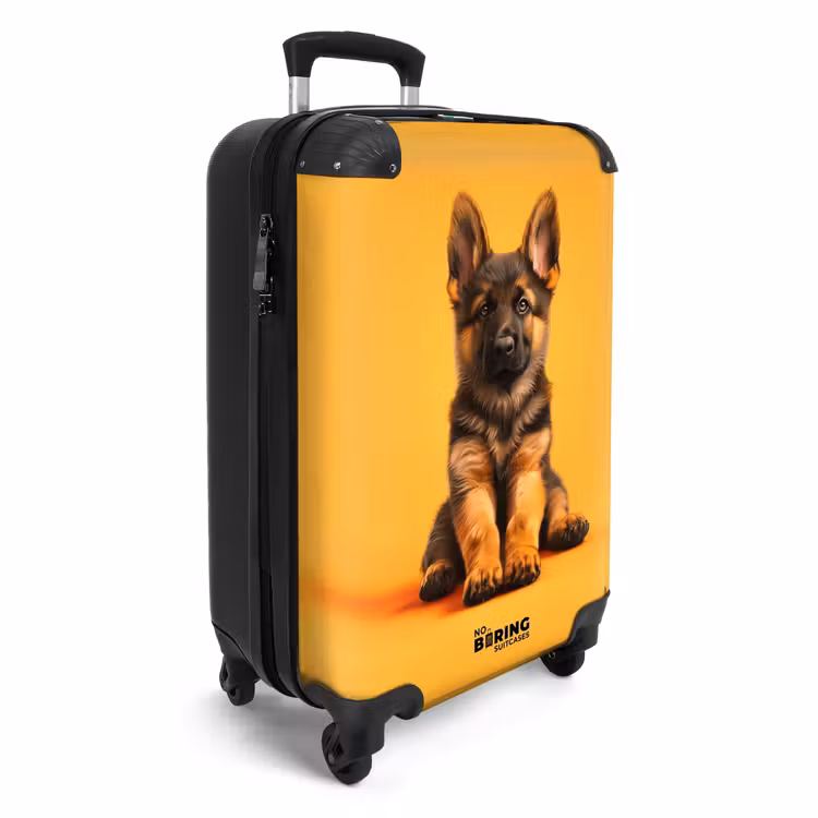 CaseSwap - Hein shepherd — 7