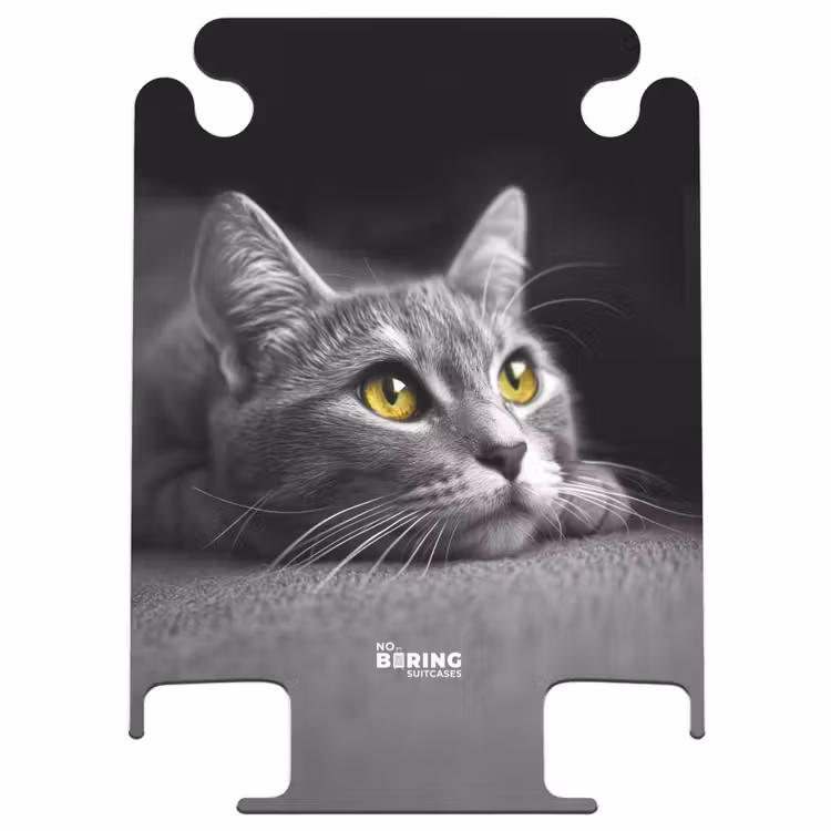 CaseSwap - Black and white cat with yellow eyes — 1