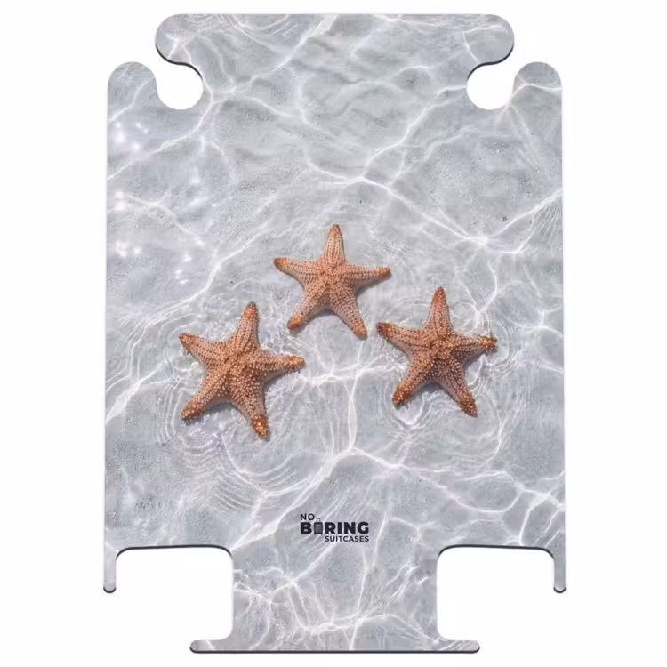 CaseSwap - Starfish - Water - Clear — 1