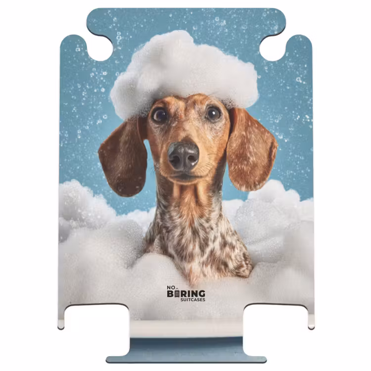 CaseSwap™ - Dachshund - Bath - Foam - Water drops — 1