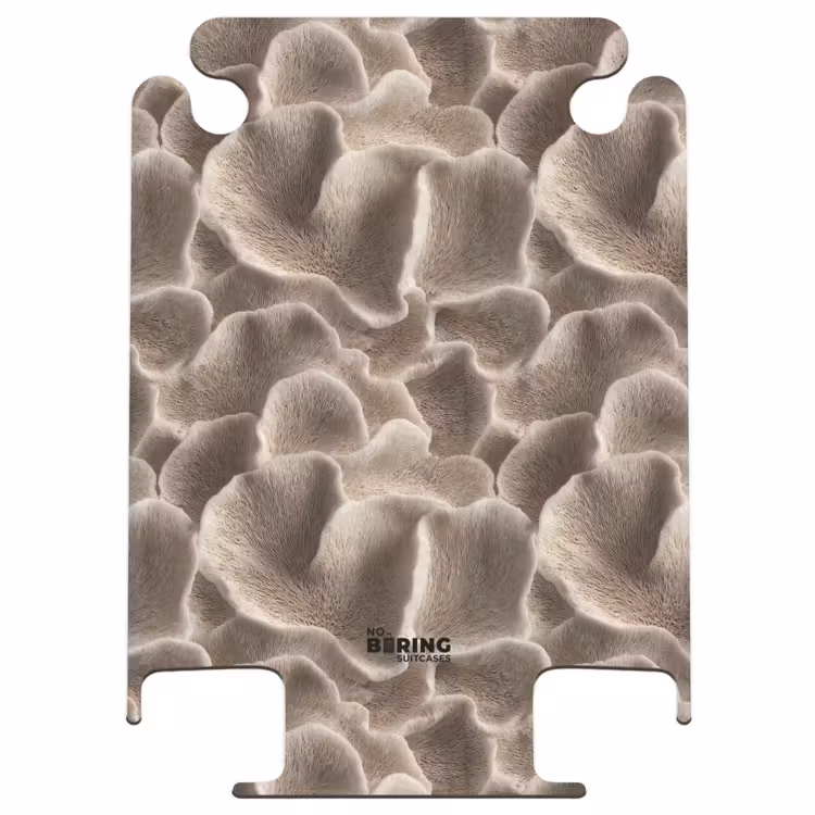CaseSwap - Fan shape - Beige - Fiber texture — 1