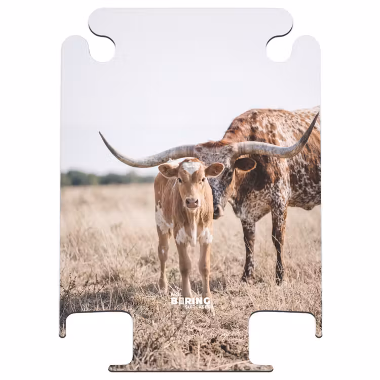 CaseSwap™ - Texas Longhorn - Calf - Pasture - Animals — 1