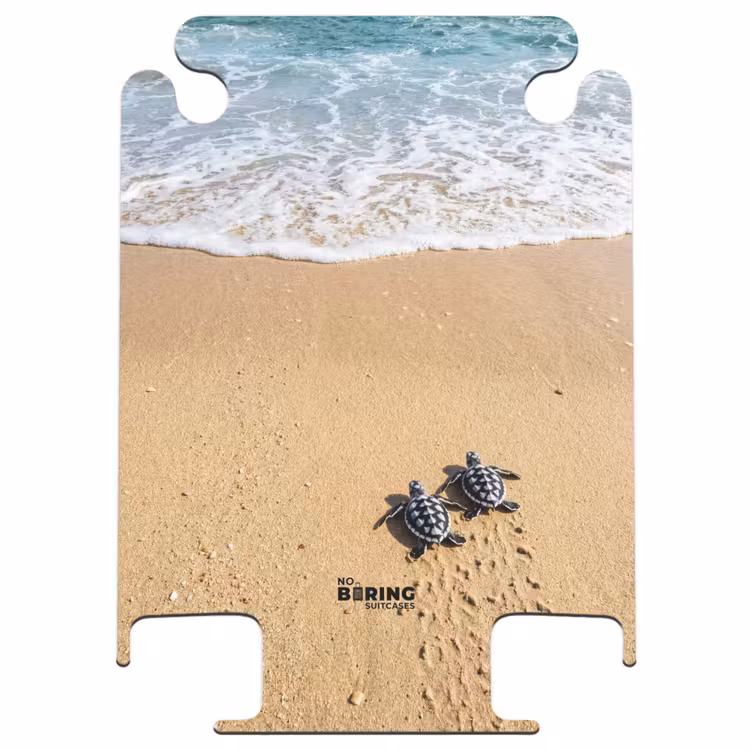 CaseSwap™ - Turtle - Young - Beach - Ocean - Blue — 1