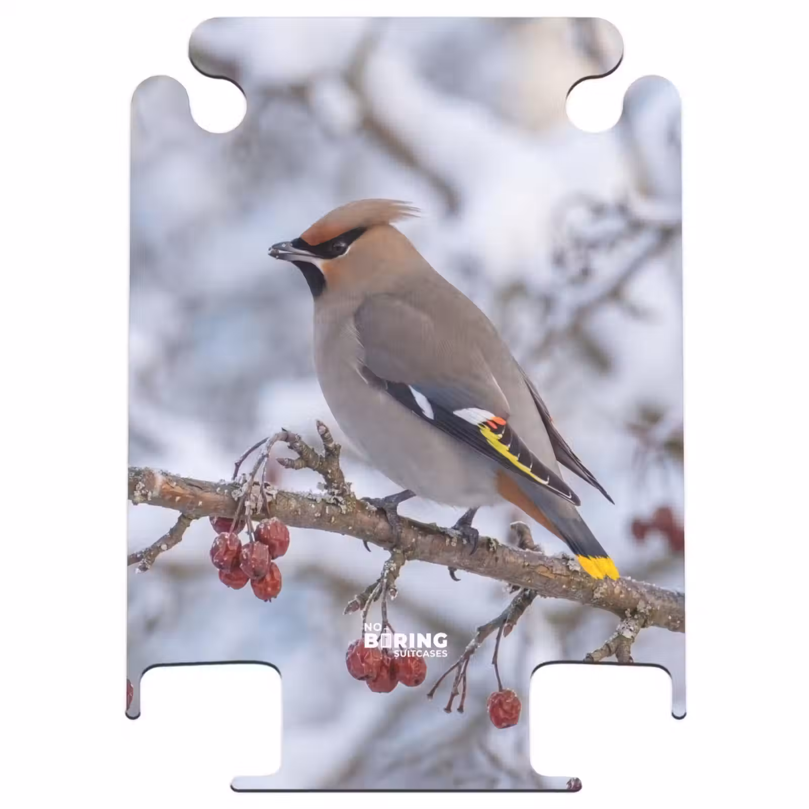 CaseSwap - Eurasian Jay - Berries - Winter - Nature — 1