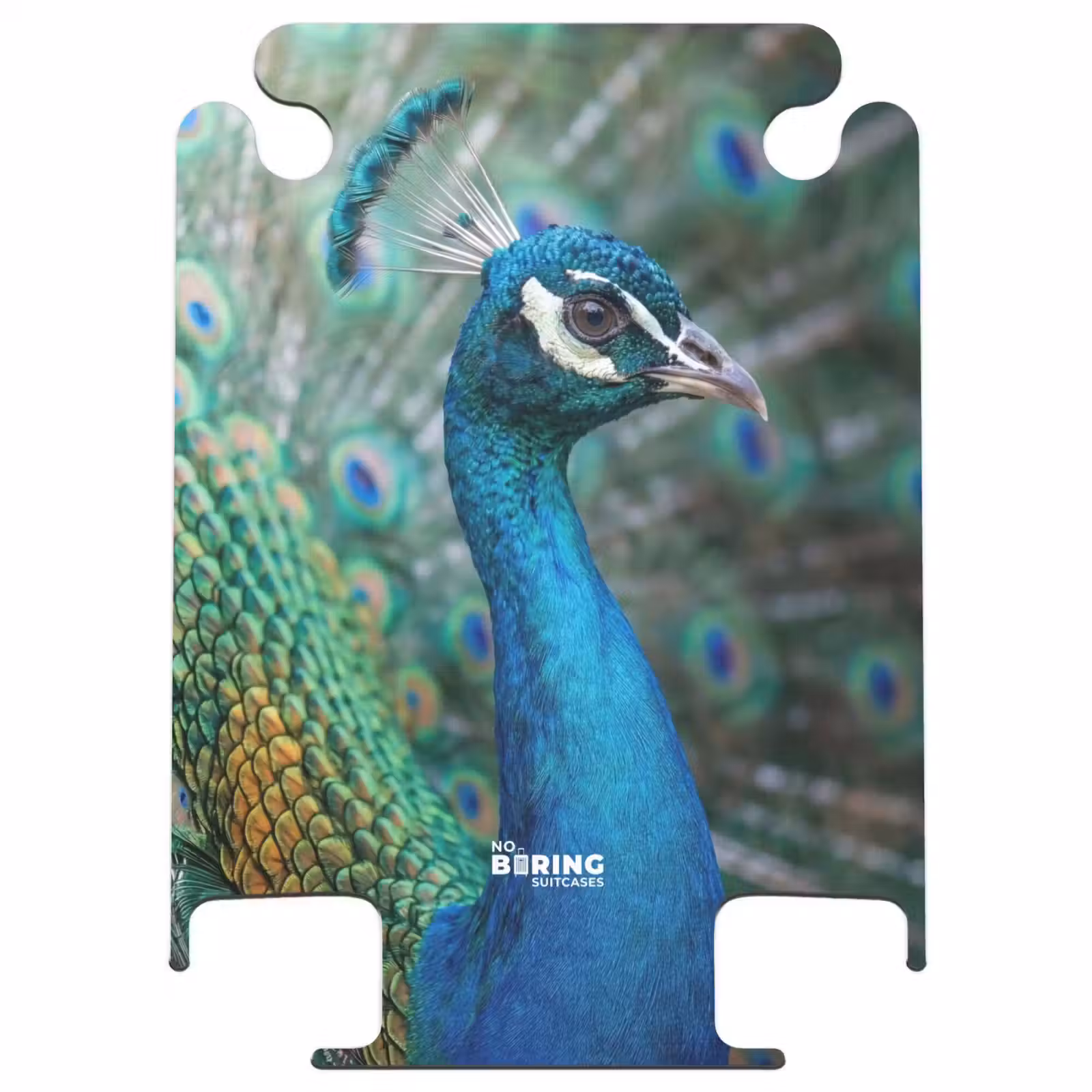 CaseSwap™ - Peacock - Feathers - Blue — 1