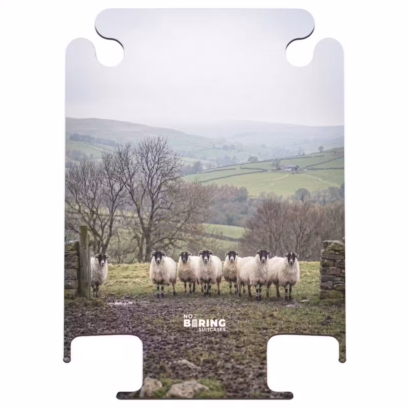 CaseSwap - Sheep - Row - Pasture - Animals - Countryside — 1