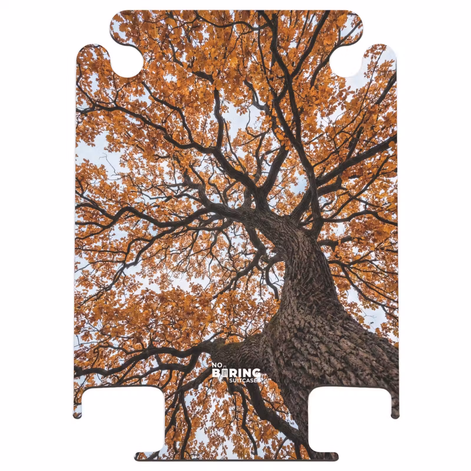CaseSwap - Tree - Canopy - Fall - Orange - Atmospheric — 1