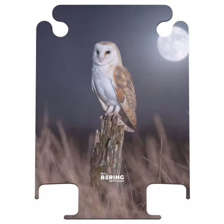CaseSwap™ - Barn Owl - Moon - Night — 1